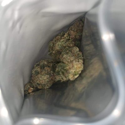 Buy Frostiez Joke’s Up | 40g