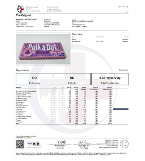 Pp08 Polka-A-Dot Schokolade | Der Original Schokoriegel | 5 Gramm