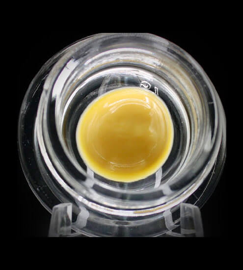 Pp09 Beezle | 1g | Konzentrat | Budder | Hybrid | Cindy 99