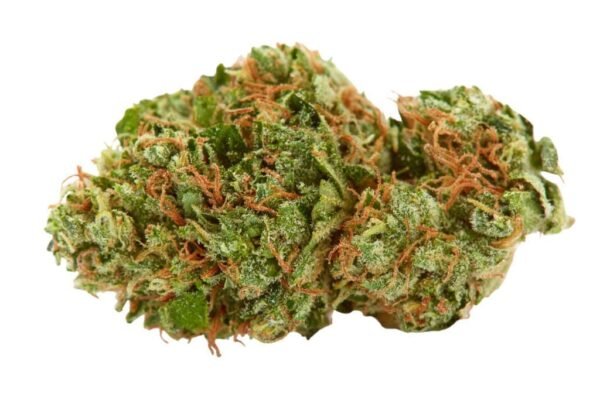 ak-47-marijuana-strain-1024x683 AK-47 Kaufen THC 22 % THCMARKT