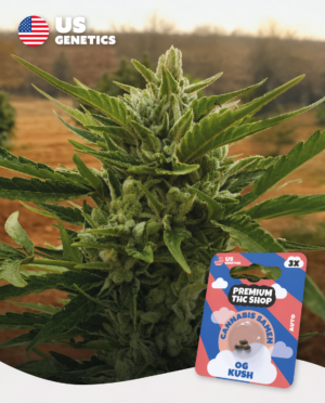OG Kush Auto Automatic