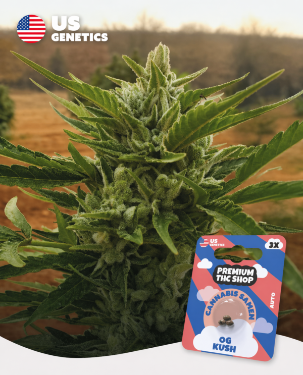 OG Kush Auto Automatic