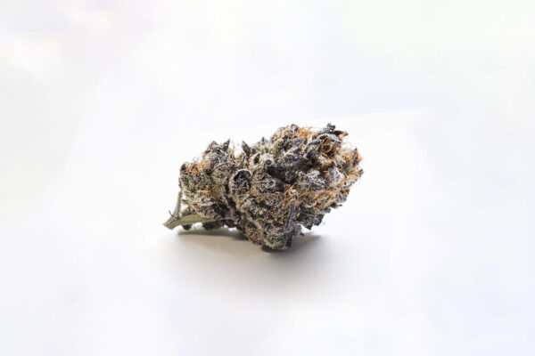 girl-scout-cookies-strain-picture-3 Girl Scout Cookies (GSC)