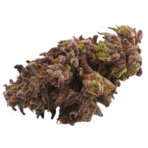 hybrid_1072832198 Gushers