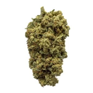 indica-dominant-hybrid_2033256143 Sunset Sherbet