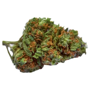 indica-dominant-hybrid_534528868 Bubba Kush