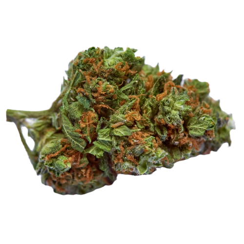 indica-dominant-hybrid_534528868 Bubba Kush