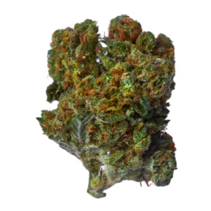 indica-dominant-hybrid_596268842 Lemon Cherry Gelato