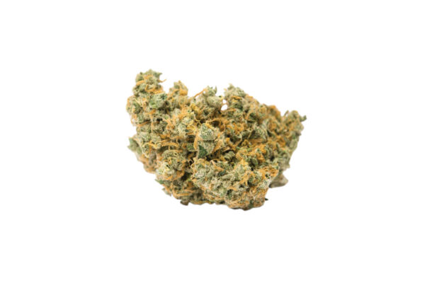 jack-herer-strain-picture-1 Jack Herer