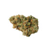 jack-herer-strain-picture-2 Jack Herer