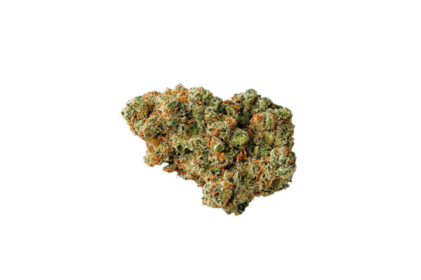 jack-herer-strain-picture-2 Jack Herer