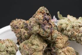 download (43) Apfelkrapfen-Sorte Cali