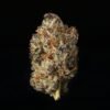 1696970773-274048750-ca7d26ed-f403-43a1-a570-e0c0b49614f7 Grand daddy purple kush THC 27%