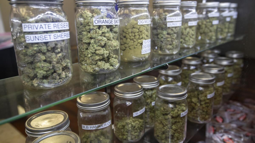 THC Blüten in erstklassiger Qualität legal bestellen in Deutschland