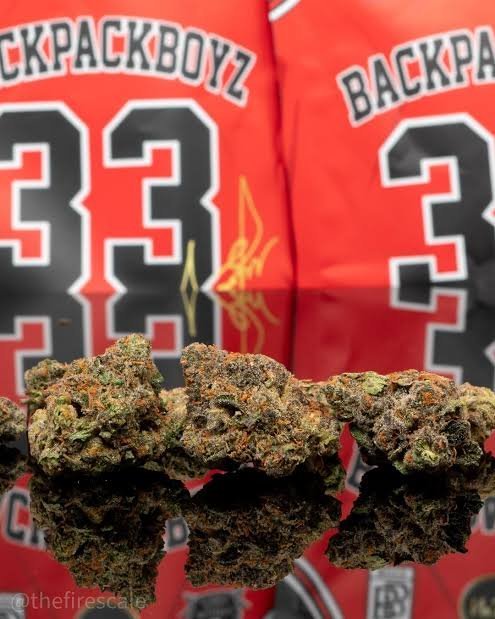 Backpackboyz 3.5g THC 30.642% kaufen