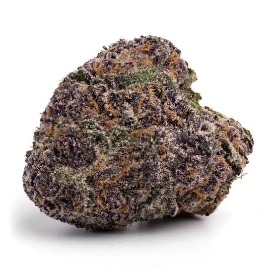 Grand daddy purple kush THC 27%