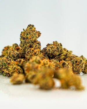 images - 2026-10-02T195324.736 Og Kush Kaufen Premium thc shop 26%