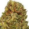 images - 2026-10-02T195337.680 Og Kush Kaufen Premium thc shop 26%