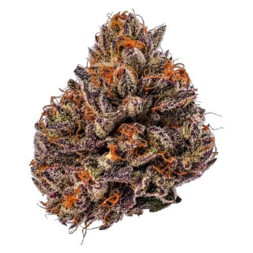 Tropicana Cherry THC18% kaufen