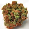 panama-red-279x300 Acapulco Red 20% THC