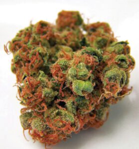 panama-red-279x300 Acapulco Red 20% THC